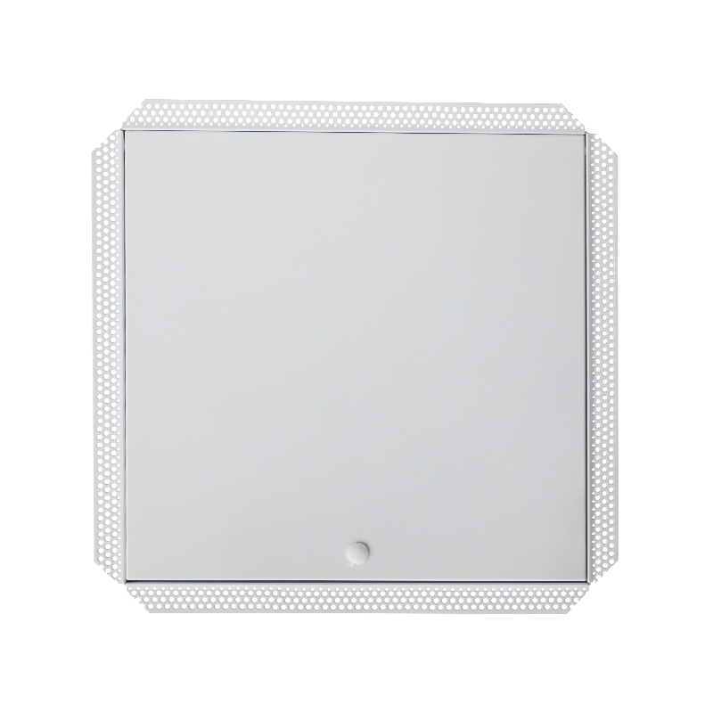 Panneau d'accès en acier SS-AP251