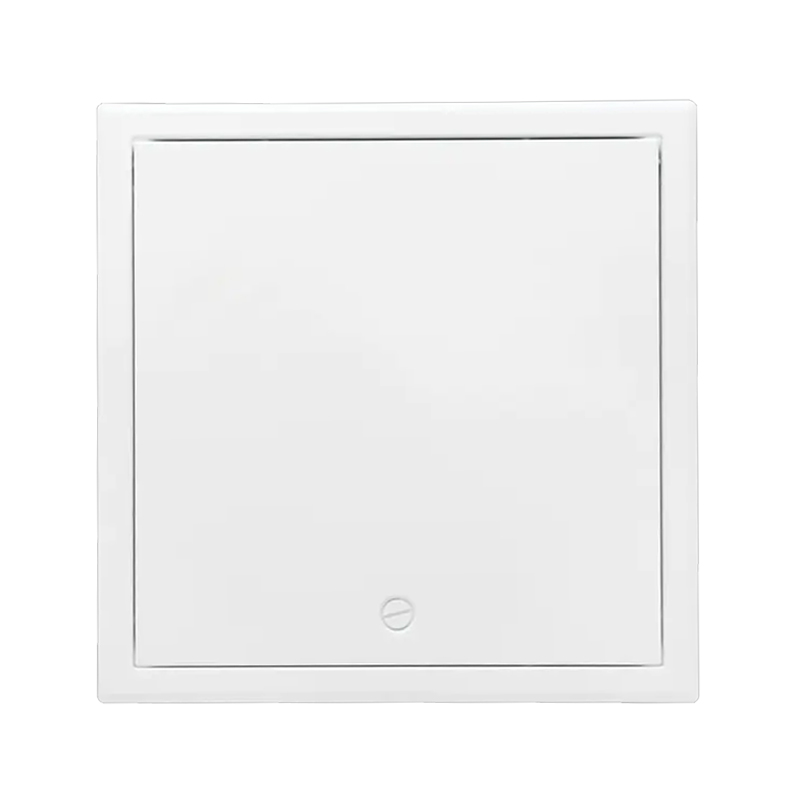 Porte d'accès en métal SS-AP250FF