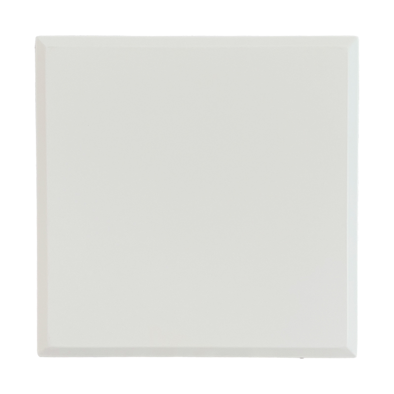 Panneau d'accès magnétique en fer SS-MT001