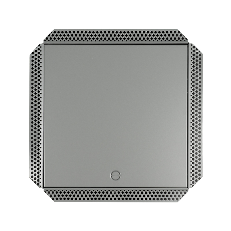 Panneau d'accès en acier SS-AP250SB